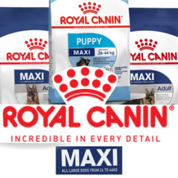 [ROYAL CANIN 法國皇家] MAXI 大型犬系列